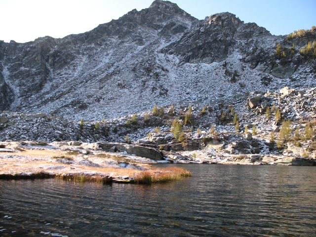 tritoni alpestri sotto la neve